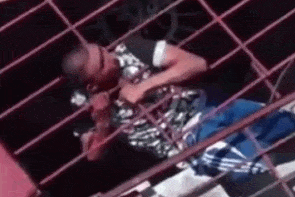 Clip: Đi ăn trộm, nam thanh niên bị kẹt đầu vào lưới sắt và cái kết