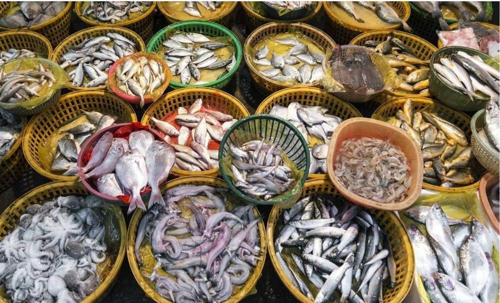 Khi đi chợ, bắt gặp ba loại cá này thì đừng nên mua, đến người bán cũng chưa chắc dám ăn-2