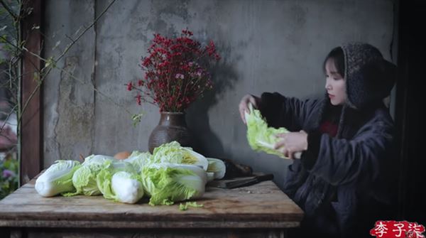 Sự nghiệp lắm thị phi của Lý Tử Thất: Bị bóc phốt sản phẩm bẩn, content gây tranh cãi, thậm chí khán giả nước nhà cũng tẩy chay?-2