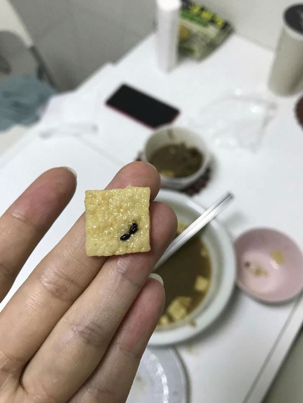 Sự nghiệp lắm thị phi của Lý Tử Thất: Bị bóc phốt sản phẩm bẩn, content gây tranh cãi, thậm chí khán giả nước nhà cũng tẩy chay?-7