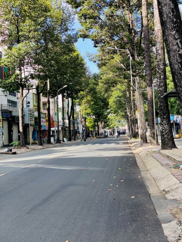 Sài Gòn, những ngày vừa đi vừa khóc-1