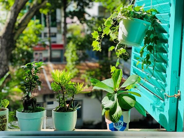 Sài Gòn, những ngày vừa đi vừa khóc-5