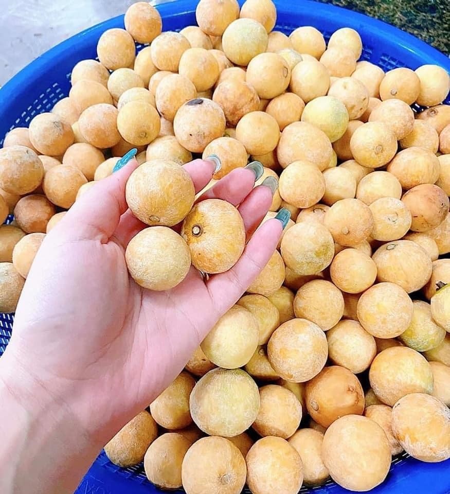 Đặc sản Hà Nội ngày cuối mùa, khách tranh mua ăn dè đến sang năm-2