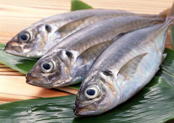 Mua cá về ăn nên thận trọng loại bỏ 4 bộ phận cực độc này, nhiều người thích nhưng nó còn nguy hiểm hơn cả bệnh ung thư-3