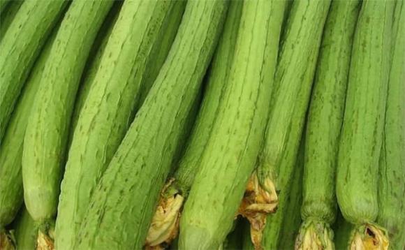 Mua mướp, chọn thẳng hay cong? Nên nhớ 3 mua 2 đừng mua để chọn mướp chuẩn tươi ngon-2