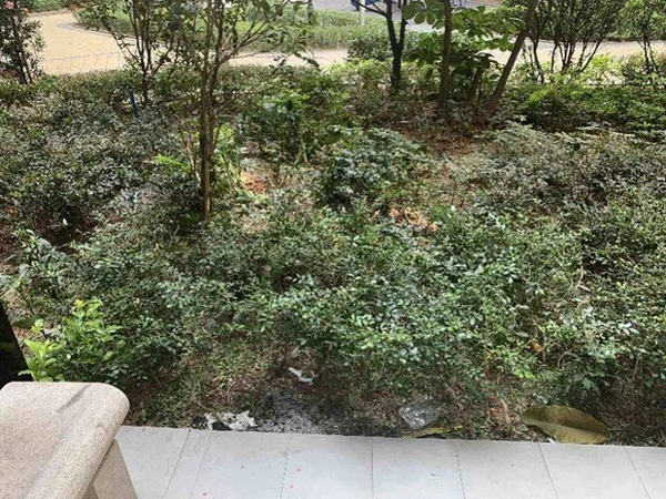 Clip thương tâm: Bé trai đu lan can tầng 22 rồi trượt tay rơi xuống đất tử vong tại chỗ, bố mẹ đều ở nhà nhưng tai nạn ám ảnh vẫn xảy ra-3