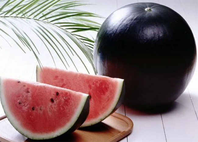 5 loại quả siêu đắt đỏ giá bằng nửa căn chung cư, có loại bán ở Việt Nam vẫn hút khách-4