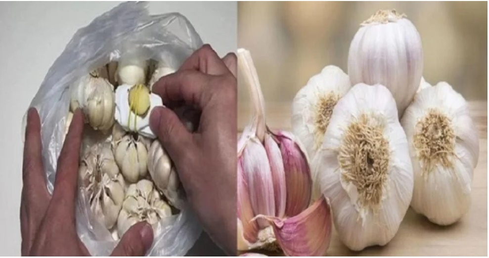 Cách bảo quản hành khô, tỏi khô để được cả năm mà không sợ hỏng-1