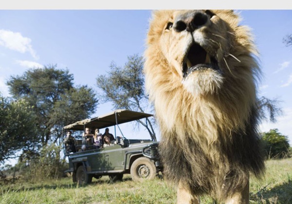 Rủ nhau vào rừng ân ái, cặp đôi chạm trán hung thần, gã trai bỏ chạy thục mạng để mặc bạn gái chết tức tưởi-2