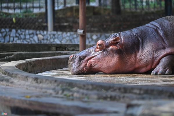 Đón Quốc khánh đặc biệt-30