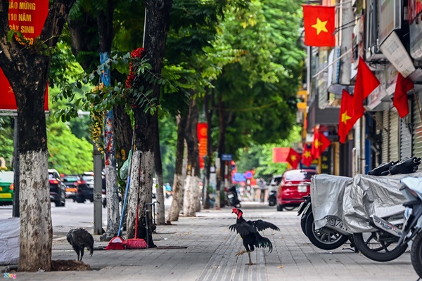 Đón Quốc khánh đặc biệt-28