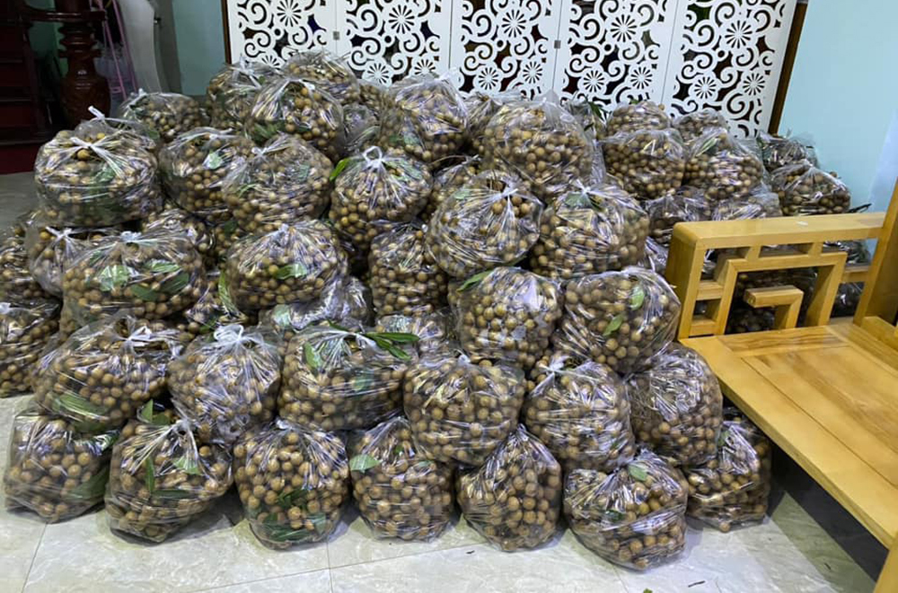 Ngay Hà Nội, giải cứu nhãn rẻ chưa từng có, 10 nghìn/kg không ai mua-6