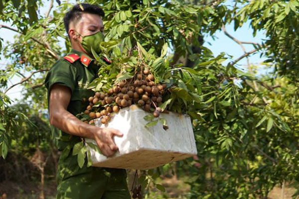 Bỏ nhà đất mua căn hộ cũ nội đô, hối hận ở không xong bán không được-3