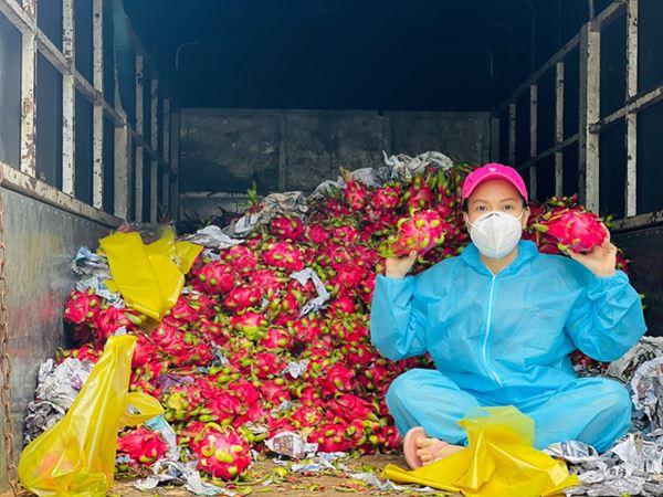 NS Việt Hương chuyển nóng 400 triệu mua xe cứu thương thứ 5 trong tháng, công khai nhận 192 triệu từ 1 nghệ sĩ Vbiz?-6