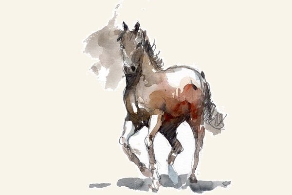 Ai sẽ là con giáp mang đến tình bạn sâu sắc, may mắn và thịnh vượng cho người tuổi Mùi-1