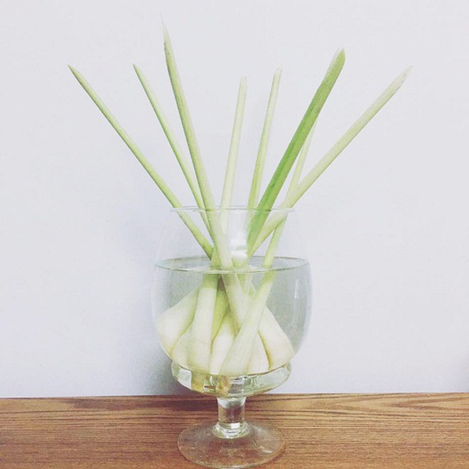 Bỏ túi mẹo nhỏ bảo quản các loại rau gia vị trong mùa dịch-5