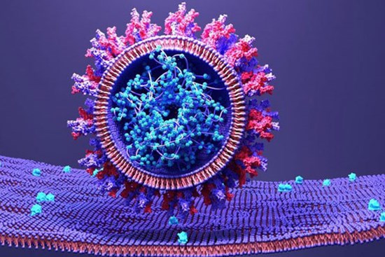 Phát hiện mới về cách ngăn chặn đường lây nhiễm của nCoV