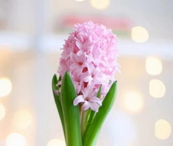 Ai sinh vào ngày âm lịch này, vài tháng trước xui xẻo nhưng kể từ giữa tháng 9, may mắn hết phần thiên hạ, phúc lộc đầy nhà-1