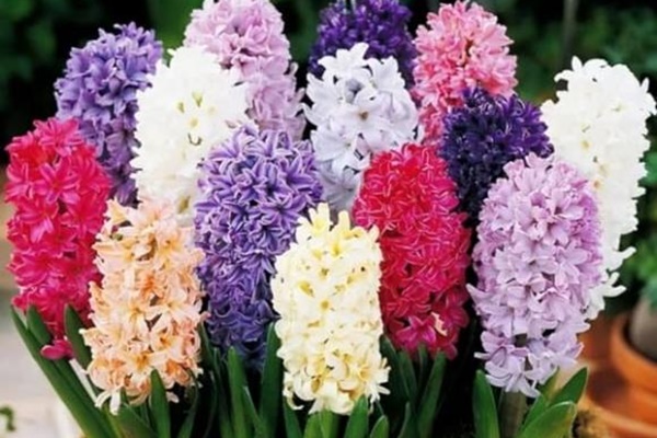 Ai sinh vào ngày âm lịch này, vài tháng trước xui xẻo nhưng kể từ giữa tháng 9, may mắn hết phần thiên hạ, phúc lộc đầy nhà-2