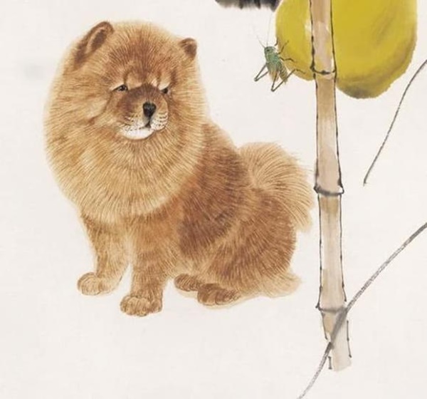 3 con giáp tháng 10 quý nhân tụ hội giúp đỡ, tháng 11 tạm biệt nghèo khó, cuộc sống viên mãn đủ đầy-3