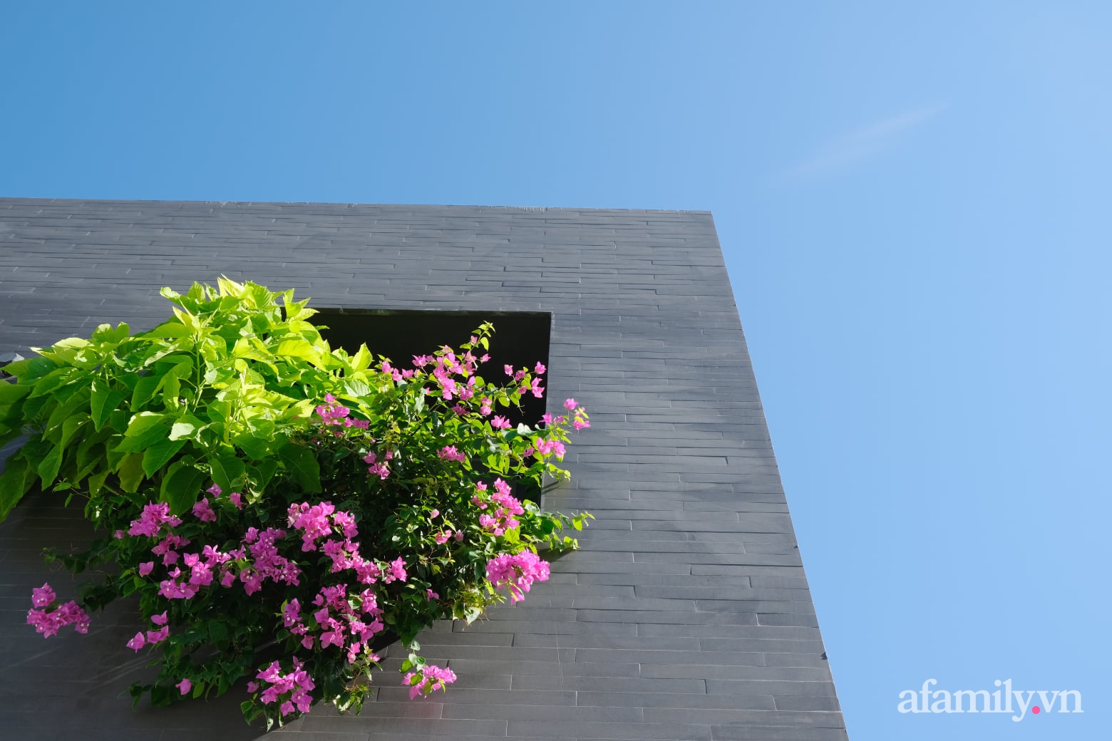 Ngôi nhà tương phản màu sắc mang nét đẹp hiện đại của con gái tự thiết kế dành tặng ba mẹ ở Quảng Nam-7