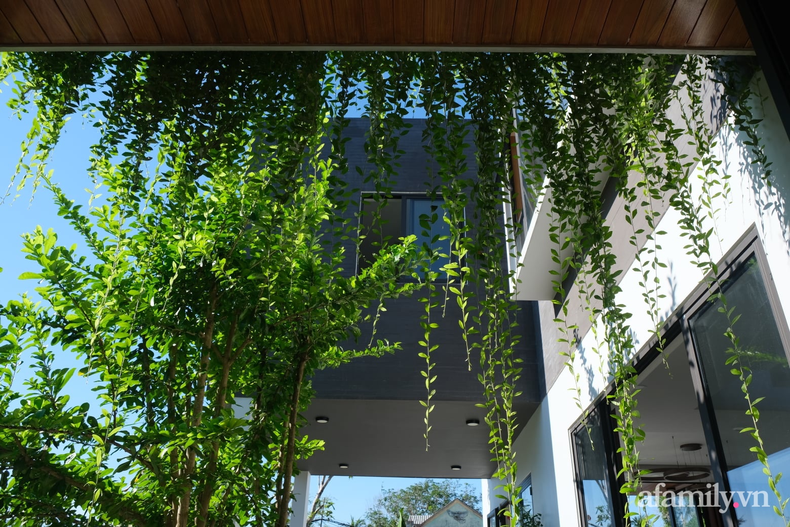 Ngôi nhà tương phản màu sắc mang nét đẹp hiện đại của con gái tự thiết kế dành tặng ba mẹ ở Quảng Nam-21