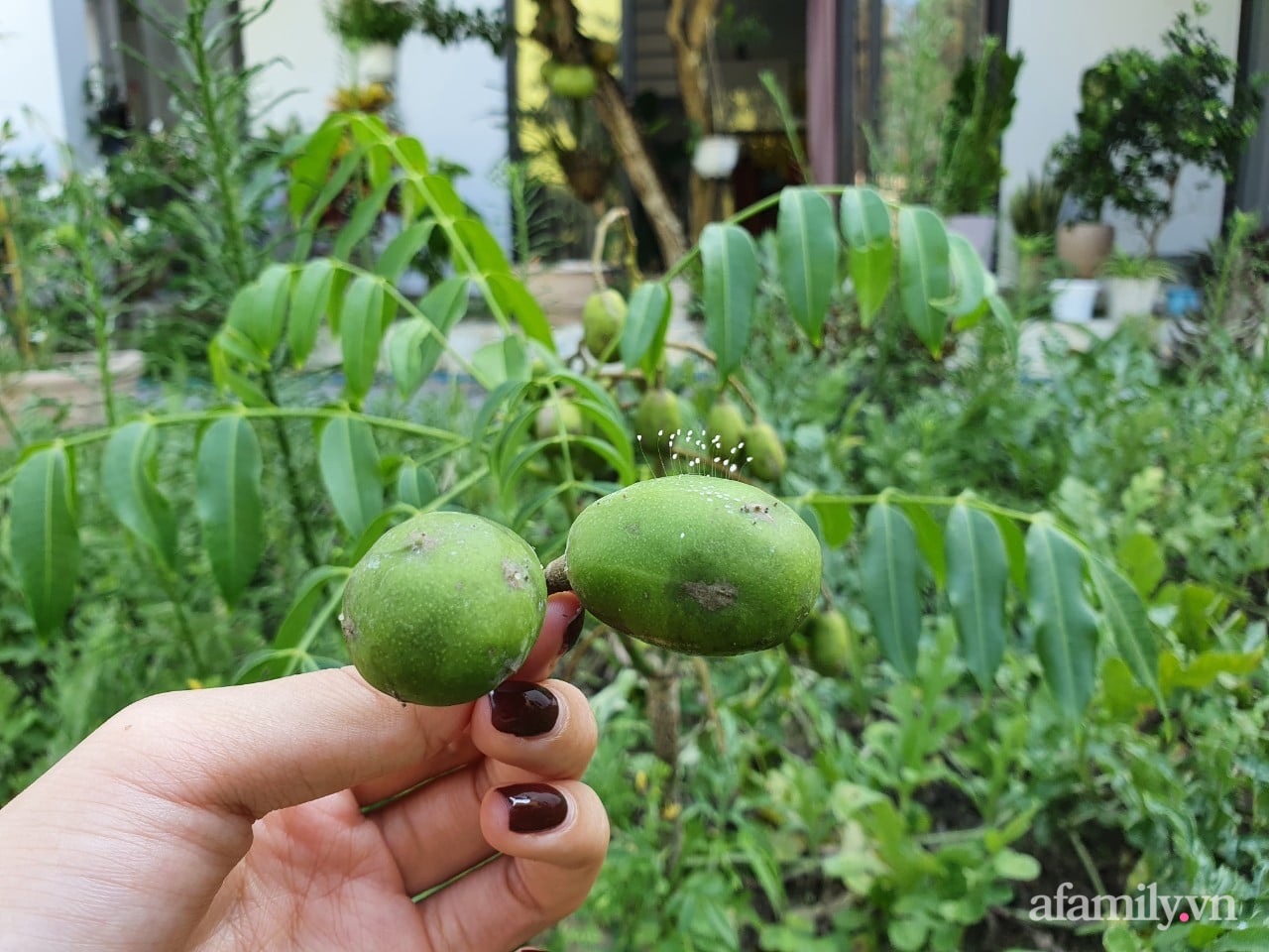 Ngôi nhà tương phản màu sắc mang nét đẹp hiện đại của con gái tự thiết kế dành tặng ba mẹ ở Quảng Nam-29