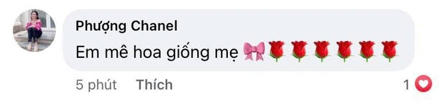 Quách Ngọc Ngoan đăng ảnh con gái cưng, Phượng Chanel liền bình luận gây chú ý-2