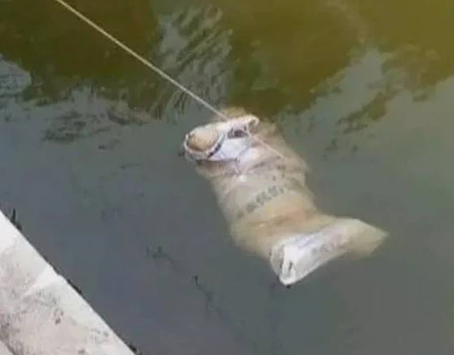 Tình án xác chết trôi sông chấn động Sóc Trăng một thời: Sự mất tích bí ẩn của người chồng mẫu mực (Kỳ 1)-1