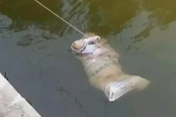 Tình án xác chết trôi sông chấn động một thời (Kỳ 2): Ác quỷ đội lốt người vợ tào khang nguyện chết theo chồng-5