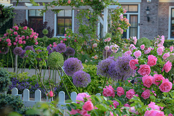 Nghe câu nói của con trai 4 tuổi, vợ tôi đòi bán nhà gấp-1