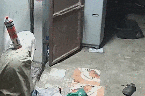 Mang chăn chiếu đến đền thờ nằm ngủ, người đàn ông bị rắn bò đến đòi ngủ cùng, kết cục khiến người xem thót tim theo-6