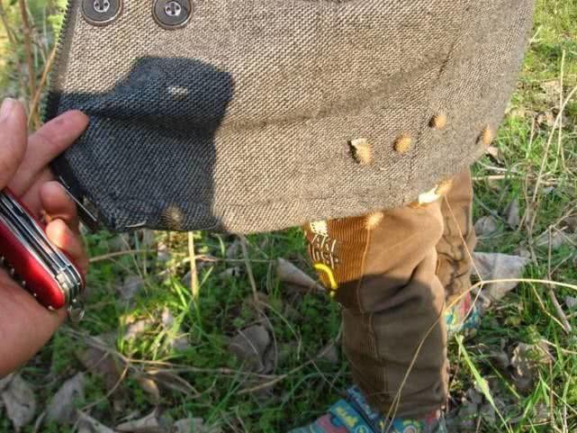 Quả dại gây khó chịu vì bám dính quần áo khi đi qua ở Việt Nam, Trung Quốc chế thành thảo dược đắt đỏ-3