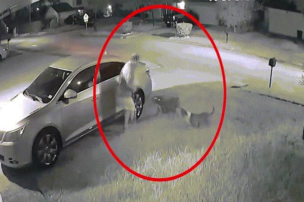 Hà Nội: Người phụ nữ đầu tiên bị con cu li cắn, vài phút sau giọng nói yếu hẳn đi-3