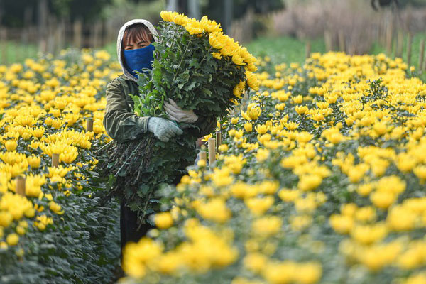 Nhóm chat chung cư thành siêu thị thu nhỏ ngày giãn cách-4