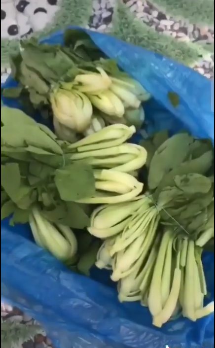 Đôi vợ chồng từ chối nhận rau xanh tươi, cầm cả túi ném ra cửa: Hỗ trợ vậy thì ăn gì? Xách về đi-4