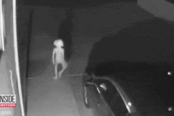 Xem lại camera an ninh, bà mẹ rụng rời chân tay phát hiện sinh vật đáng sợ lởn vởn trước nhà lúc đêm hôm-4