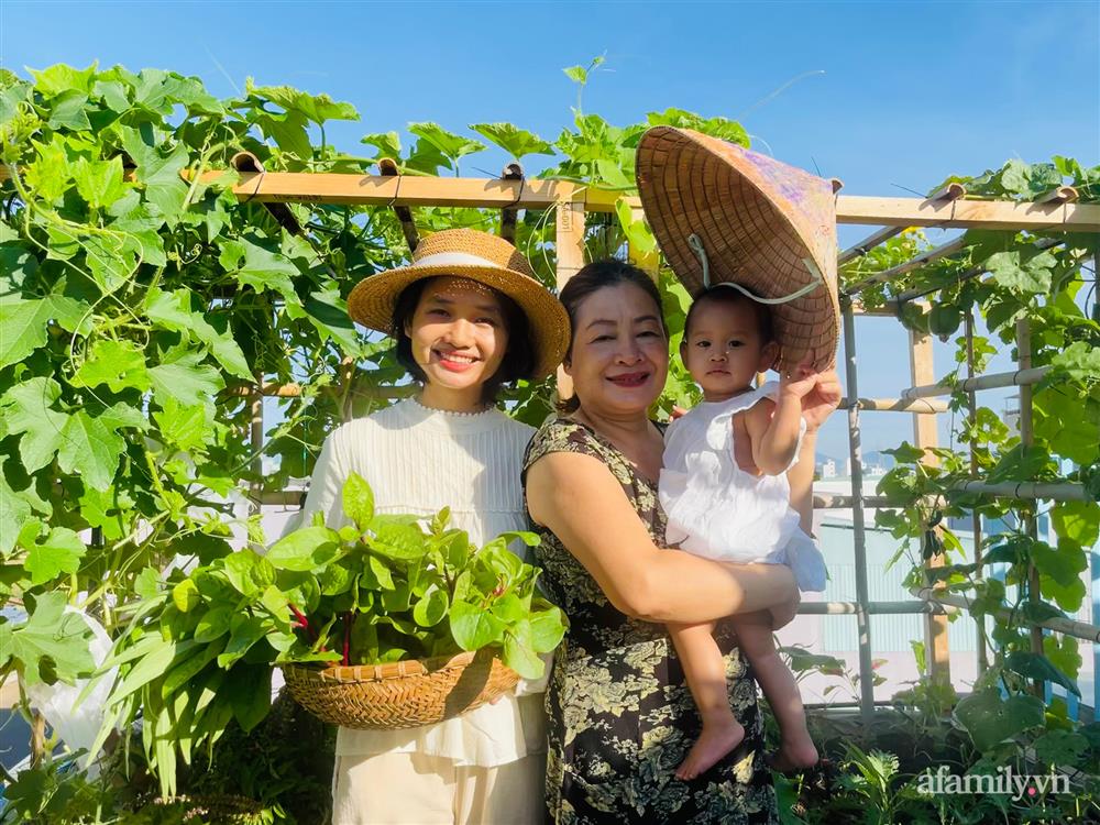 Nông trại” rau quả sạch trên sân thượng 100m² của mẹ đảm ở Đà Nẵng-4