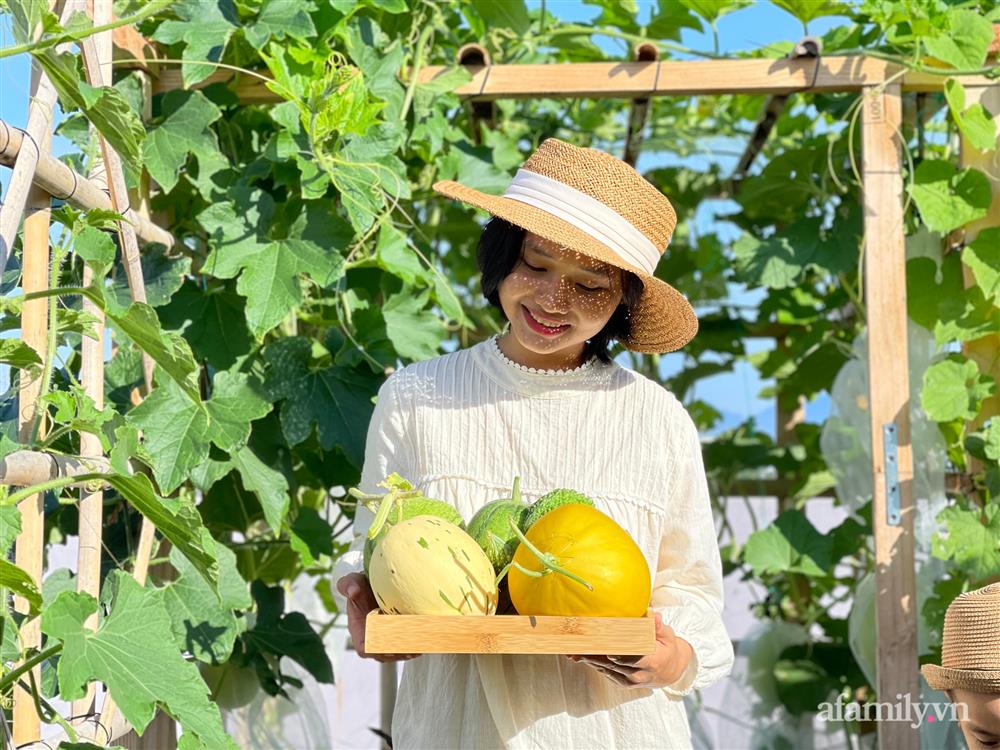 Nông trại” rau quả sạch trên sân thượng 100m² của mẹ đảm ở Đà Nẵng-5