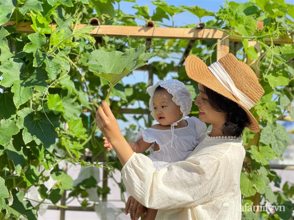 Nông trại” rau quả sạch trên sân thượng 100m² của mẹ đảm ở Đà Nẵng-6