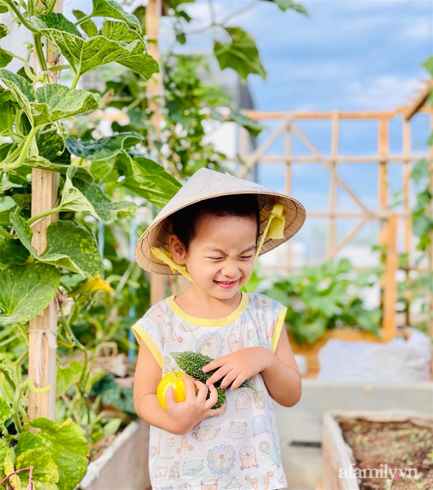 Nông trại” rau quả sạch trên sân thượng 100m² của mẹ đảm ở Đà Nẵng-19