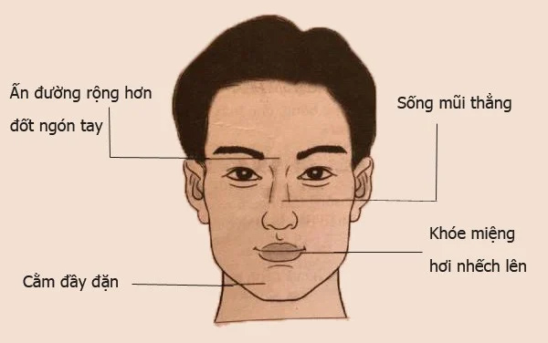 Dù nam hay nữ sở hữu 4 tướng cằm này vận mệnh giàu sang, tình duyên viên mãn-1