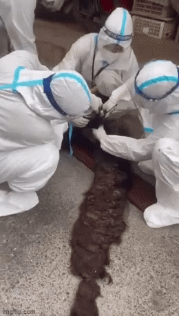 Clip: Cụ ông F0 ở Hà Nội có mái tóc kết dài cả mét khiến nhân viên y tế phải chật vật xử lý-1