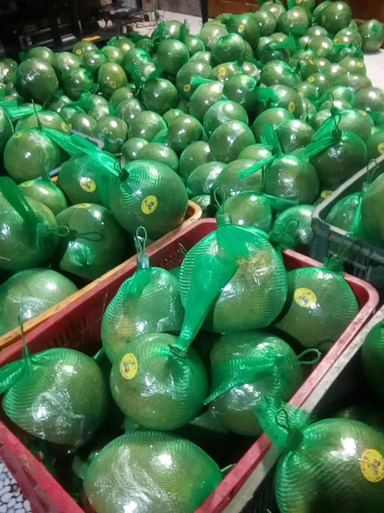 Bưởi da xanh giảm giá còn 30.000 đồng/kg vẫn ế sưng-5