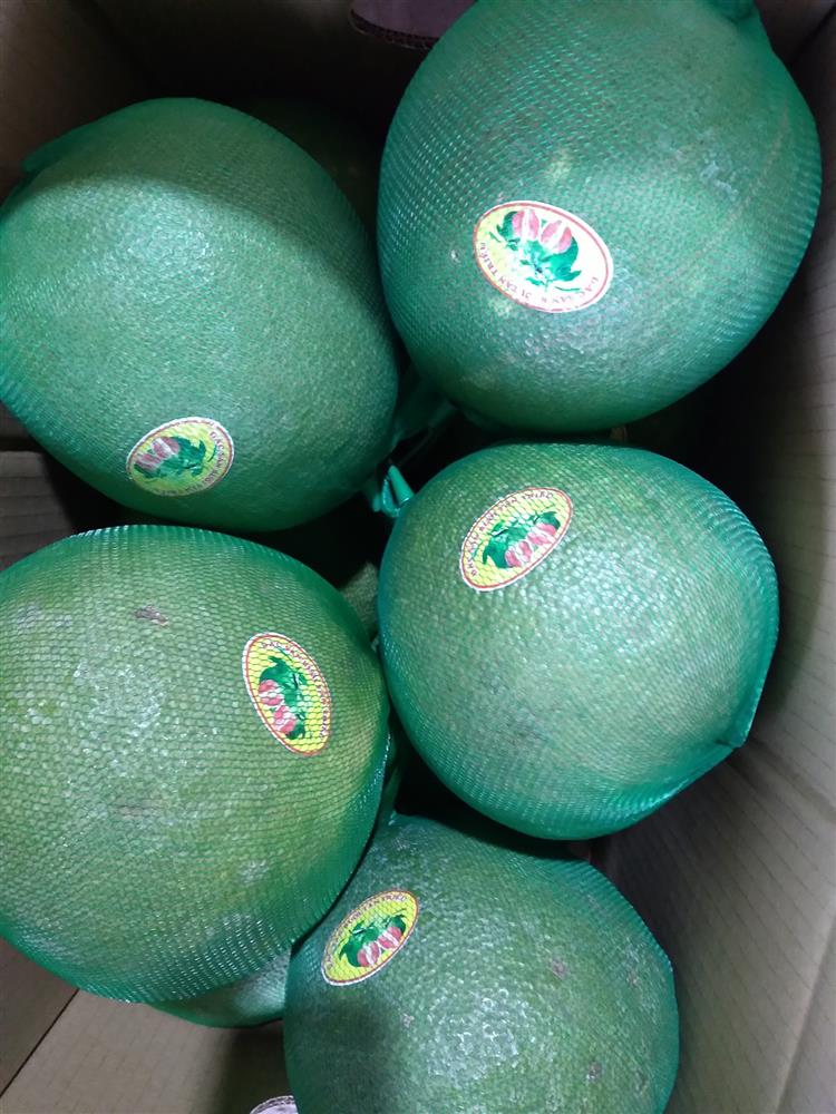 Bưởi da xanh giảm giá còn 30.000 đồng/kg vẫn ế sưng-6