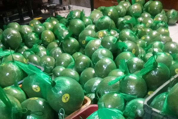 Bưởi được bán với giá 9.000 đồng/quả khiến chị em mua vài chục quả 1 lần ăn không chán-7