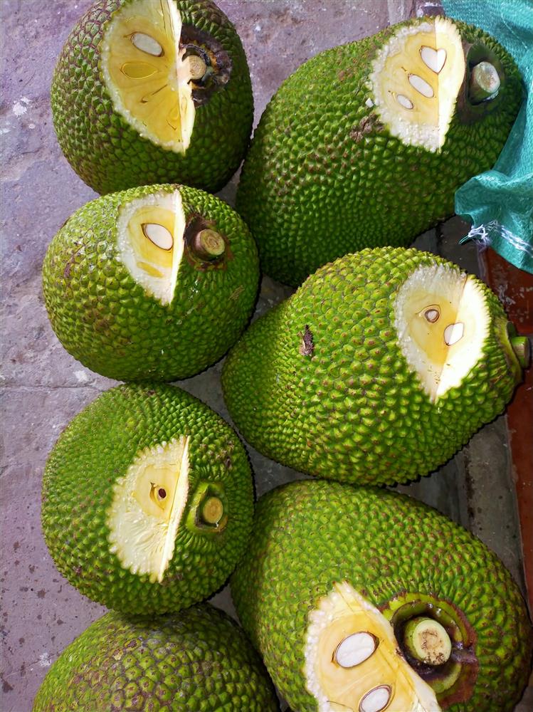 Mít Thái giảm giá, người trồng khóc vì chỉ đủ tiền phân bón-4