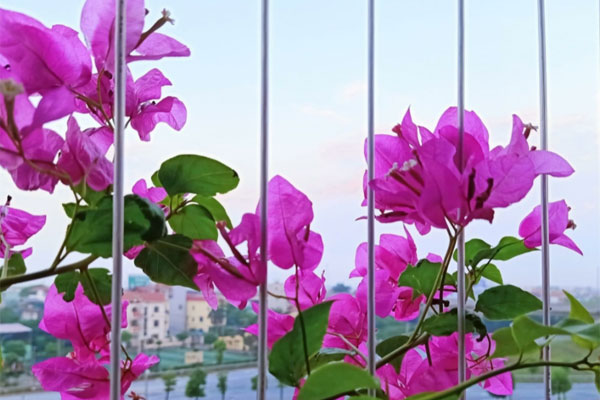 Chê vợ tẻ nhạt, chồng kiên quyết ly hôn để đến với tình mới-1