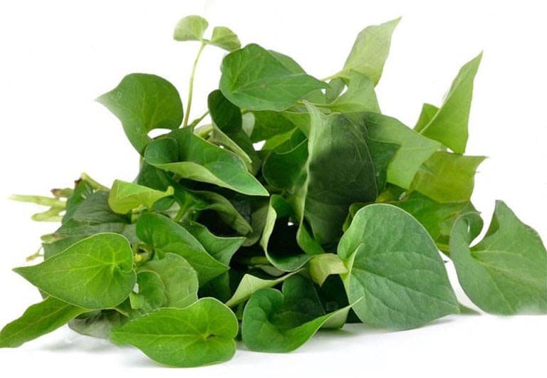 Loại rau tanh ngòm, mọc khắp vườn, trước dùng cho lợn ăn, mang sang Trung Quốc quý như vàng-2