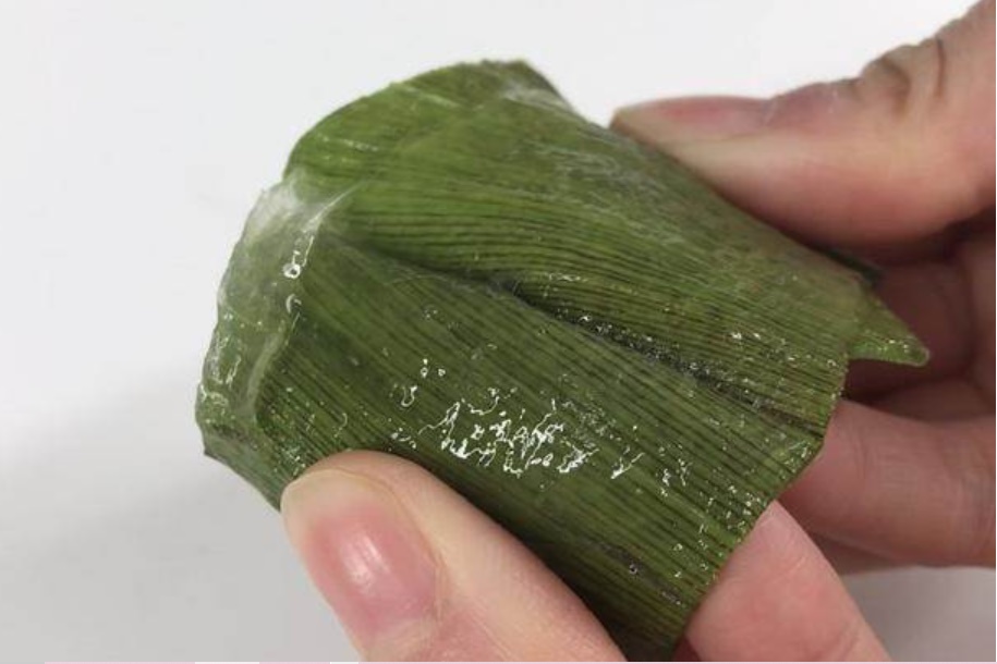 3 công năng thần kỳ của nha đam, cái số 2 chắc không ai nghĩ đến-3